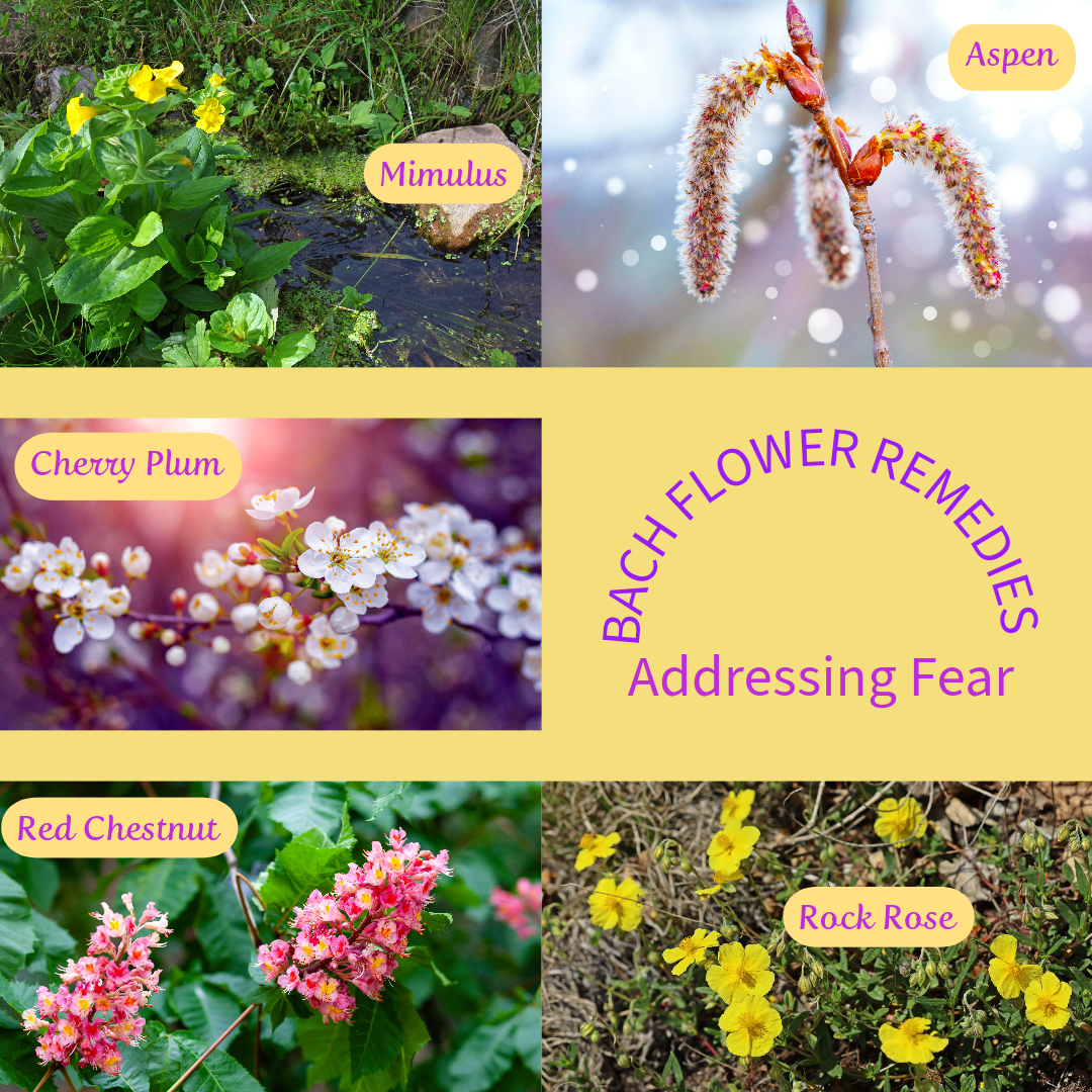 Bach Flower Remedies