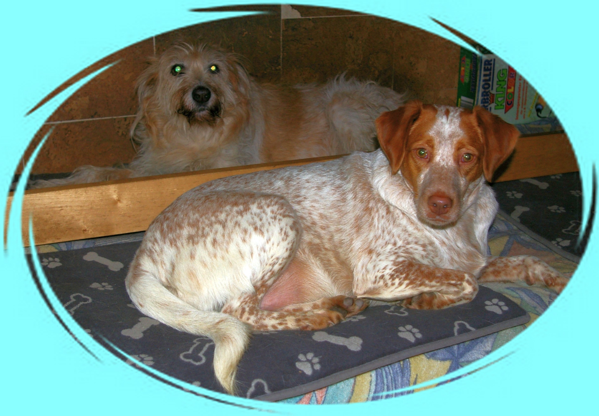 Two Spaniards: Candy and Priyā