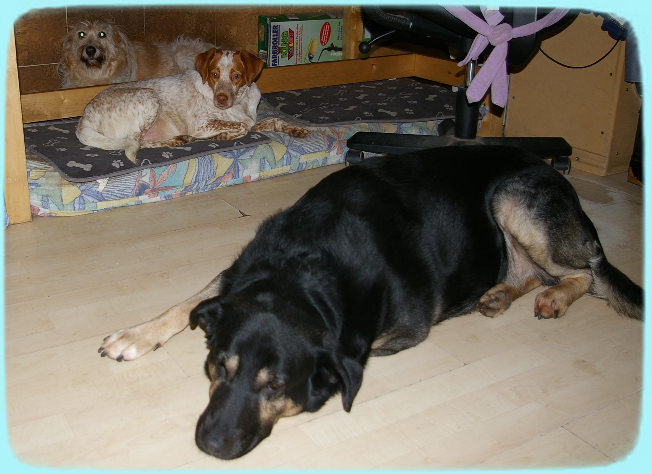 Two Spaniards and an Hungarian: Candy, Priyā and Yonah