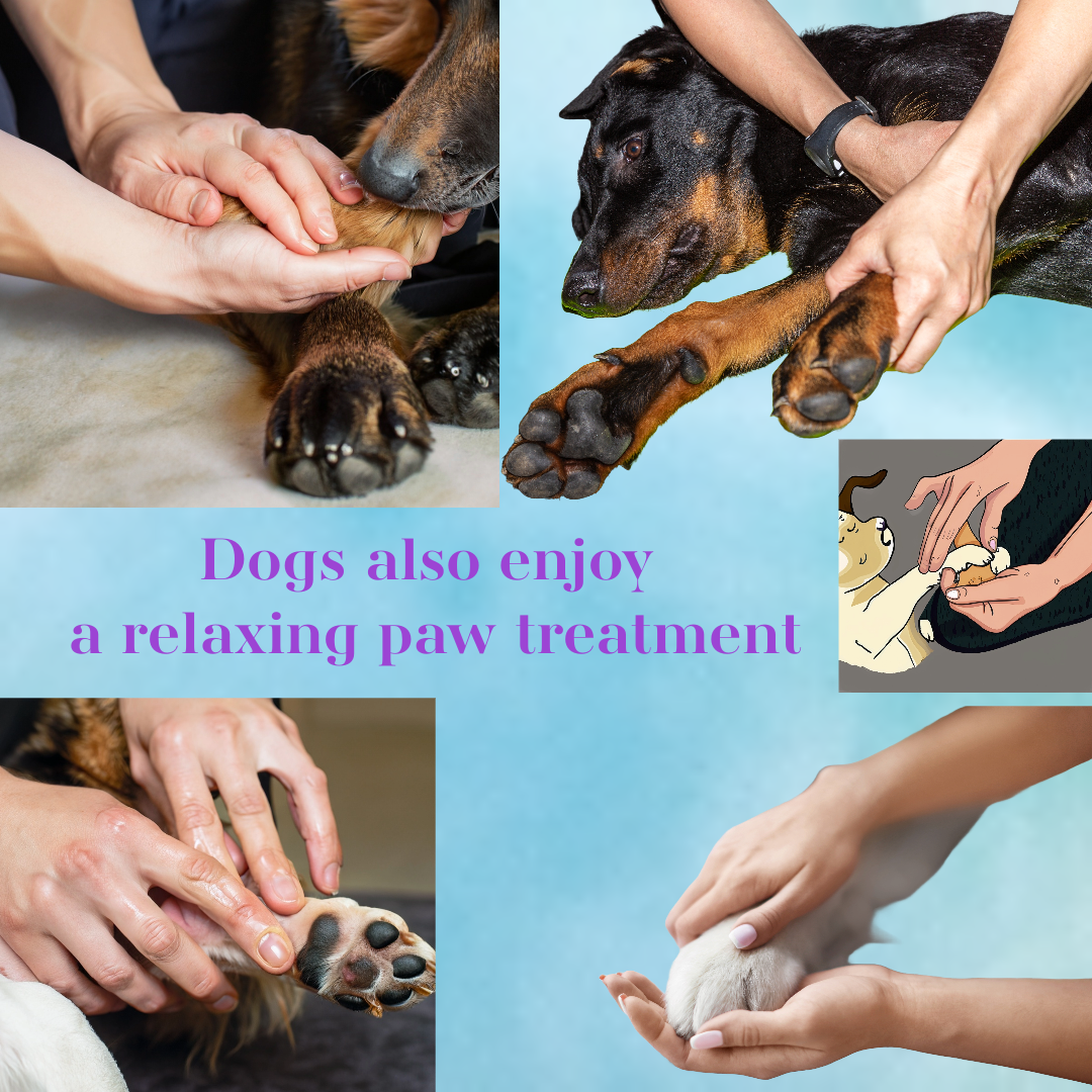 Reflexology for dogs
